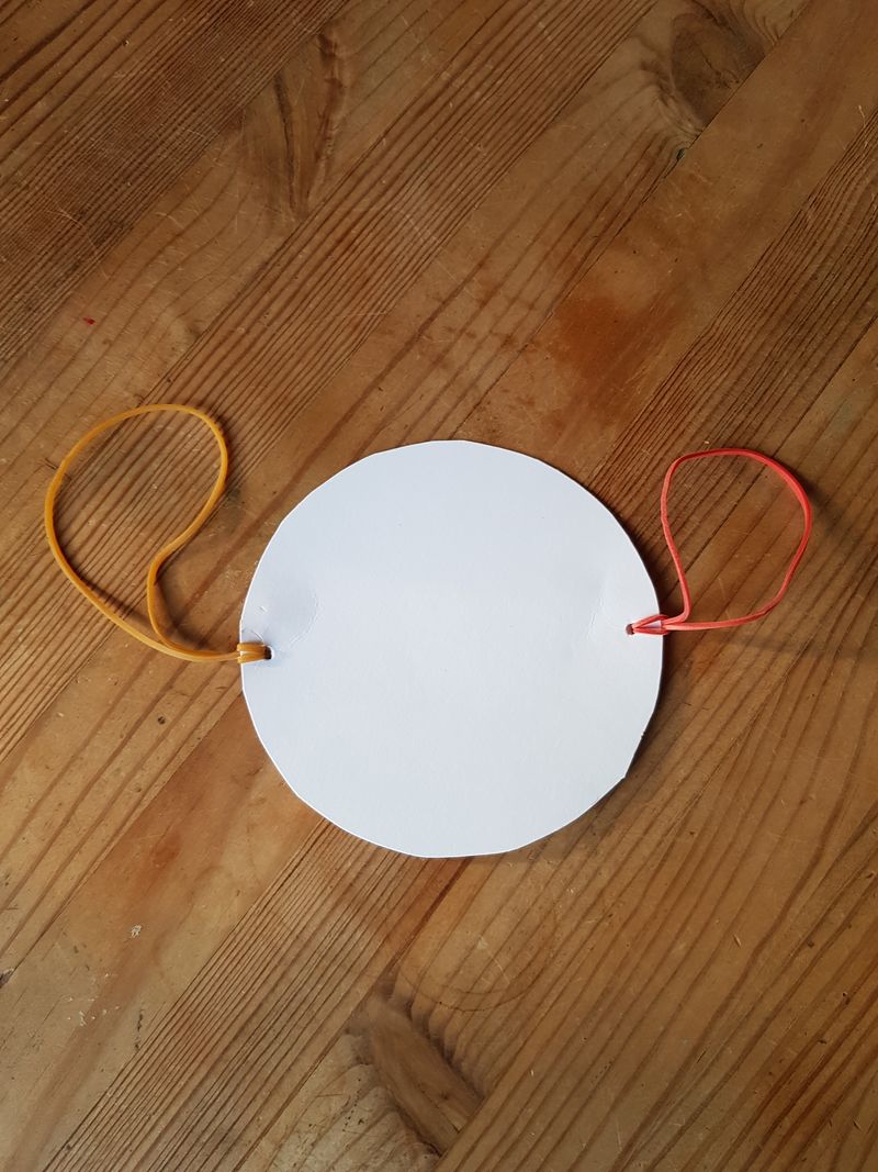 Thaumatrope elastiques.jpg