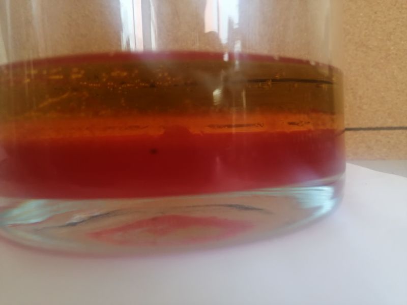 Tout est question de densit IMG 20210302 141940 resized 20210309 085122846.jpg