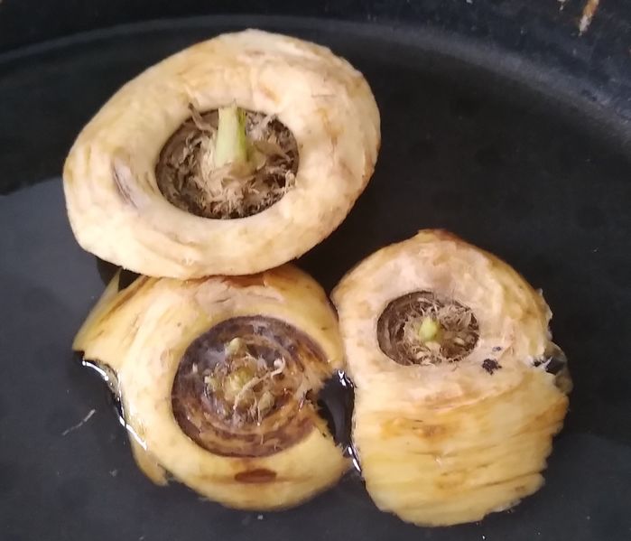 Fichier:Mini-serre de fen tre IMG 20200420 102016316.jpg