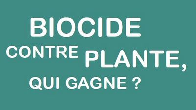 Plantes_et_biocides_CaptureTitreFicheBiocidePlante.JPG