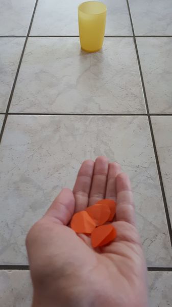 Fichier:A quoi servent les fleurs - Comment leur pollen est-il transport 4.3 A quoi servent les fleurs.jpg