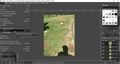 Créer un GIF avec GIMP exporter.jpg