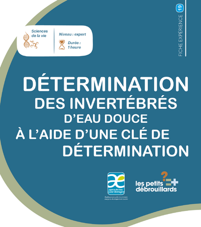 Determination_des_invertebres_d_eau_douce_Fiche_19_page_de_garde.png