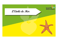 Time s up des esp ces du littoral L etoile de mer.png