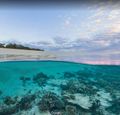 Group-Richessses de l oc an Grande barriere de corail google.jpg
