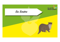 Time s up des esp ces du littoral La loutre.png