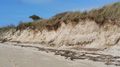 Group-Sadapter au changement climatique en bord de mer Erosion dunes plage Finistere.jpg