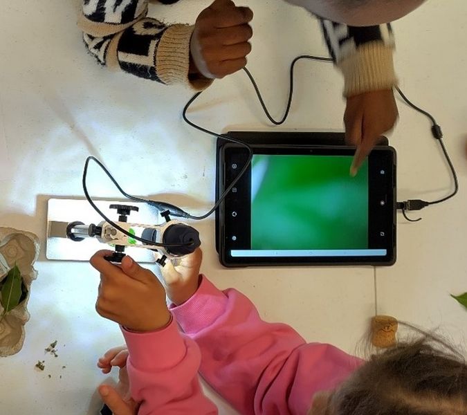 Fichier:Photos myst res au microscope USB Image3.jpg