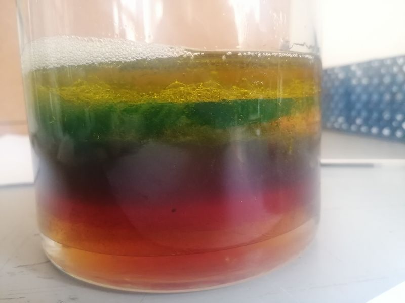 Tout est question de densit IMG 20210302 142308 resized 20210309 085122349.jpg