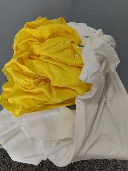 Fichier:Emprunte v g tale IMG 20191105 144348.jpg