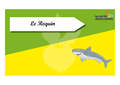 Time s up des esp ces du littoral Le requin.png
