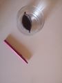 Faire flotter de la p te modeler IMG 20200414 191824.jpg