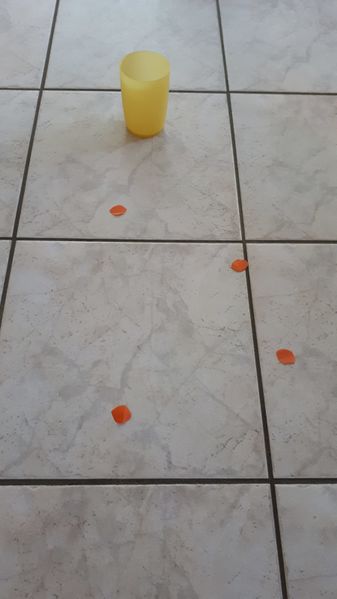 Fichier:A quoi servent les fleurs - Comment leur pollen est-il transport 4.4 A quoi servent les fleurs.jpg