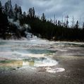 Group-Volcanisme Norris Geyser Basin Porcelain Basin Yellowstone.jpg