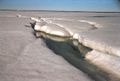 Glace alb do et r chauffement climatique 1280px-Arctic ice melt-NOAA-PublicDomain.jpg