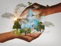 Group-Biodiversit - de quoi parle-t-on nature-conservation-480985 640.jpg