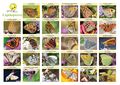 S initier aux sciences participatives la campagne Spipoll-poster13-lepidopteres.jpg
