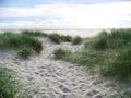 Group-S adapter au changement global en bord de mer sand-dunes-PublicDomain.jpg