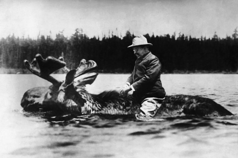 Chasse aux infox intox teddy-roosevelt-1.jpg