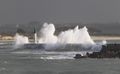 Tempete hivernale en Bretagne.jpg