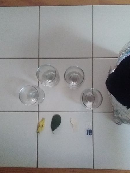 Fichier:La biod gradation IMG 20200422 100808.jpg