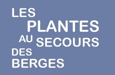 Les_plantes_au_secours_des_berges_CaptureTitreFichePlantesBerges.JPG