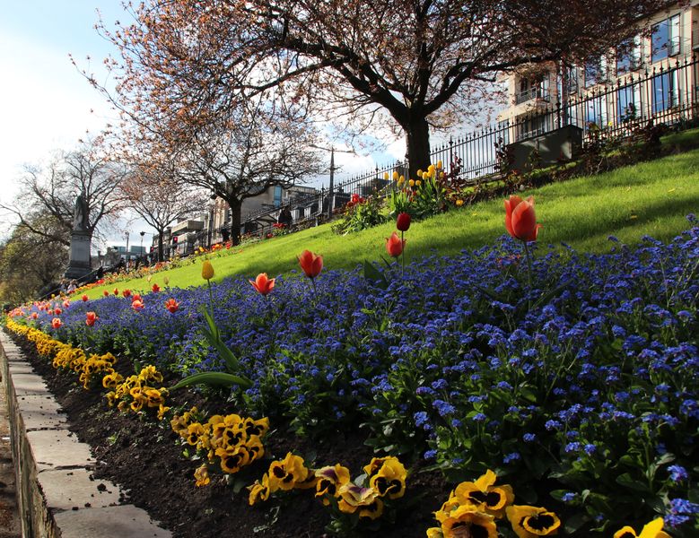 Fichier:D couvrir les habitants du sol Edinburg 175 .JPG