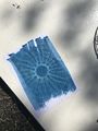 Cyanotype - La photo qui fait bronzette IMG 4311.jpeg