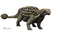 Group-D roul p dagogique du mini-stage dinosaures ankilosauro2.jpg
