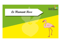 Time s up des esp ces du littoral Le flamant rose.png