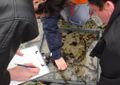 S initier aux sciences participatives sur le littoral SortieEstran-8red.JPG