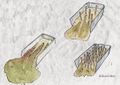 Plantes au secours du sol et des dunes P3 plante au secours du solp2-3 dessin2.jpg