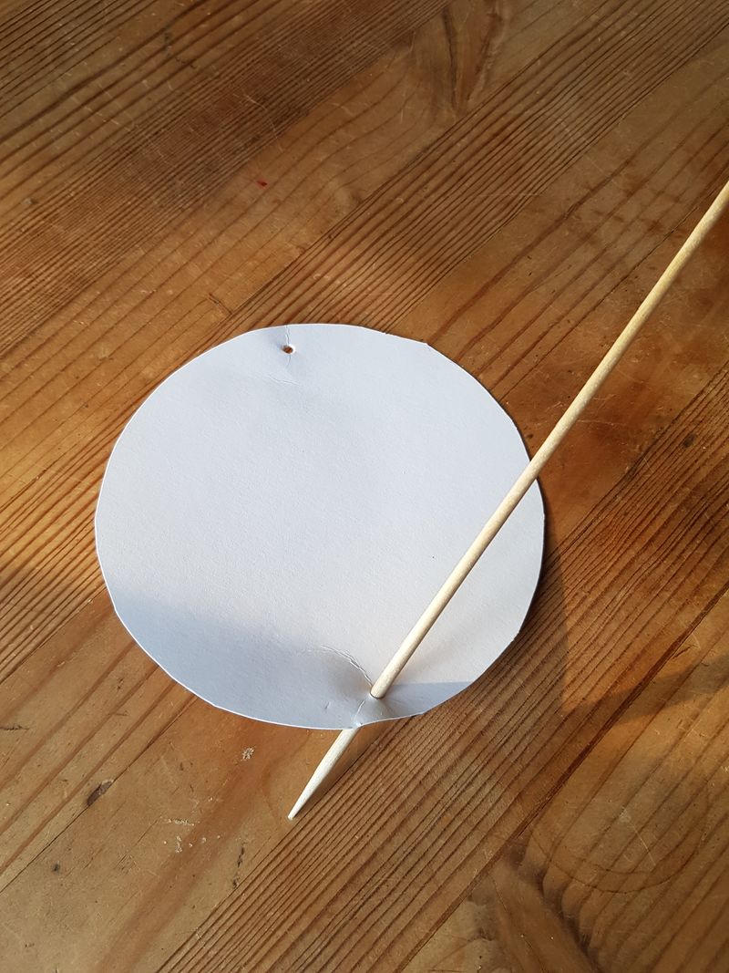 Thaumatrope percer.jpg