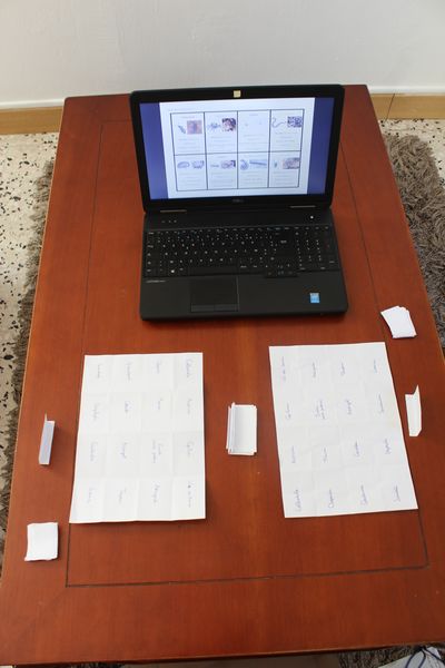 Fichier:D couvrir les habitants du sol IMG 9996.JPG