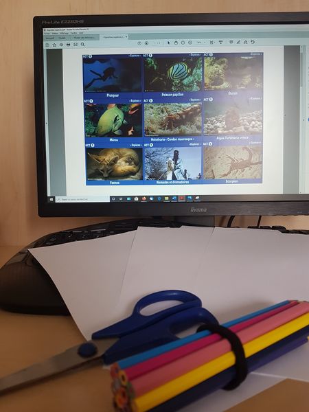 Fichier:Biodiversit - Diversit des esp ces et des milieux 95910851 1338466403030875 8284722138498203648 n.jpg