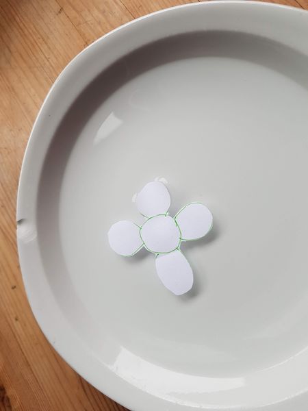 Fichier:Fleur de papier capillaire 20200321 165255.jpg