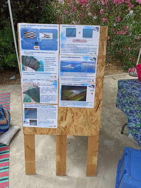 Fichier:S lectivit techniques de p che au chalut - comment p cher uniquement les poissons au taille commercialisable IMG 20240615 153827.jpg