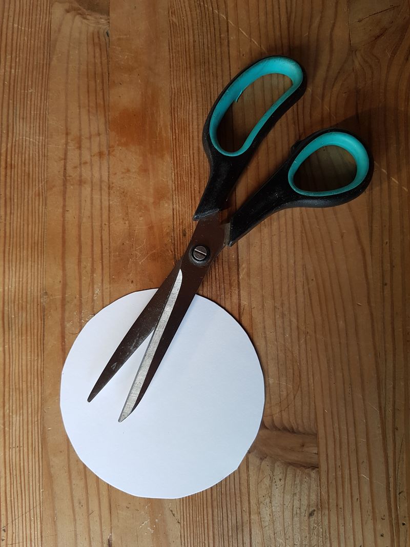 Thaumatrope Cercle.jpg