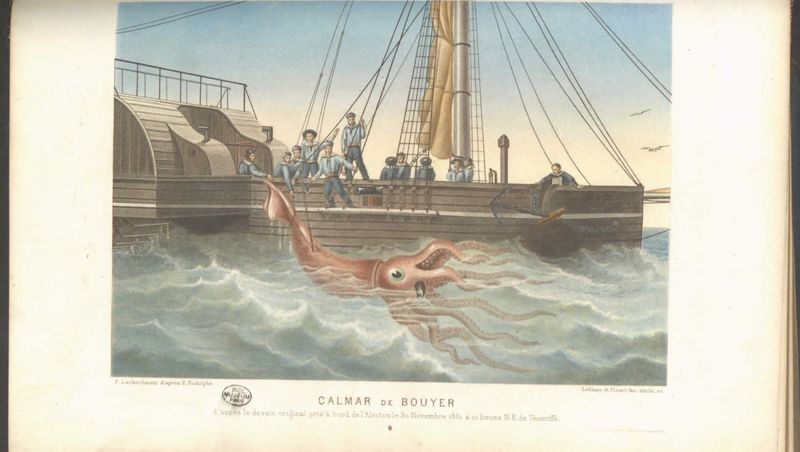 Rencontre de l’équipage de l’Alecton avec un Calmar géant en 1861,  le Monde de la mer d’Alfred Frédol, 1861, MNHN