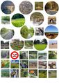 Un coup de pouce pour la biodiversit Vignettes principales-red.jpg