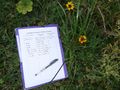 S initier aux sciences participatives la campagne Feuille comptage pollinisateurs-red.JPG