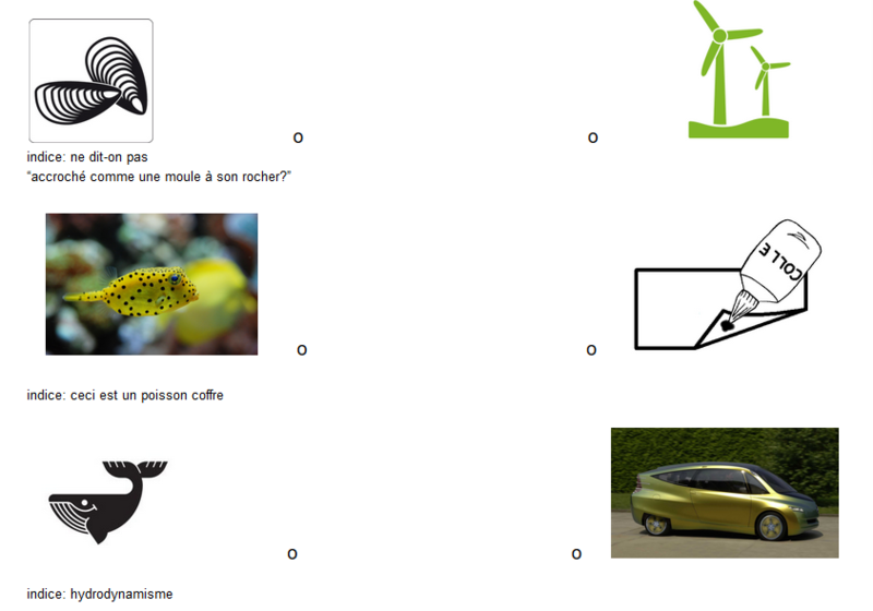 Group-Richessses de locean Jeux biodesign.png