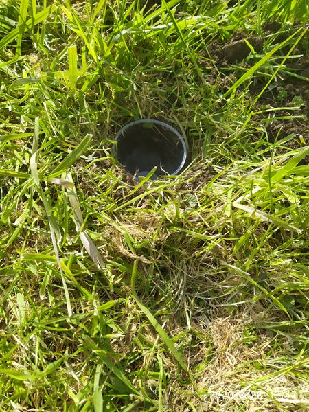 Fichier:Pi ger la faune du sol PB Pers.jpg