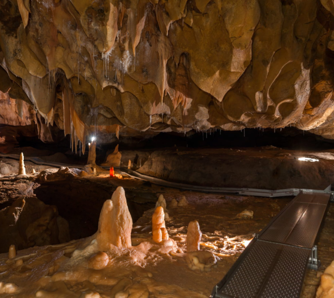 Fichier:Group-Grotte Chauvet vue d ensemble d une salle.png