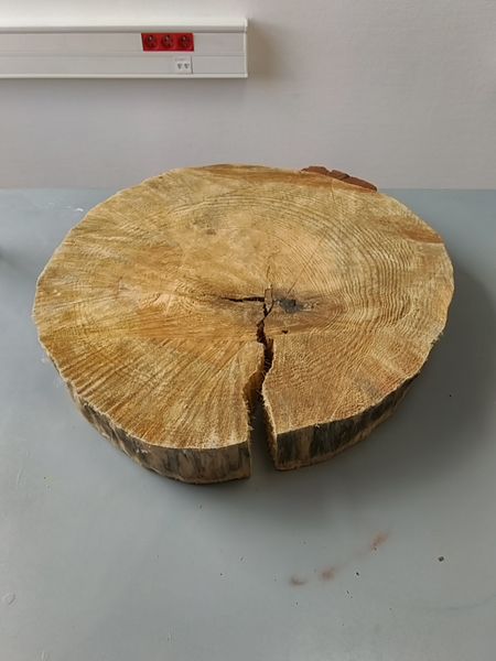 Fichier:Emprunte v g tale IMG 20191105 144035.jpg