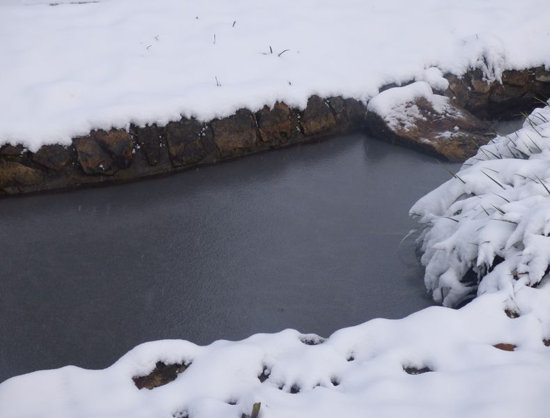 Fichier:Glace douce glace sal e Image intro.jpg