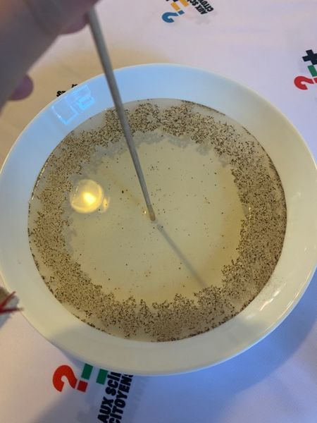 Fichier:Poivre dans l'eau 51954176 343018193221217 5542073993139322880 n.jpg