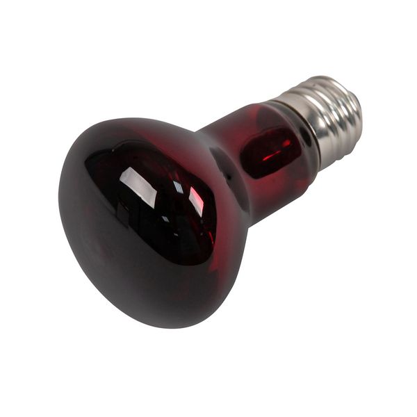 Fichier:Item-Lampe chauffante 736085 888460.jpg