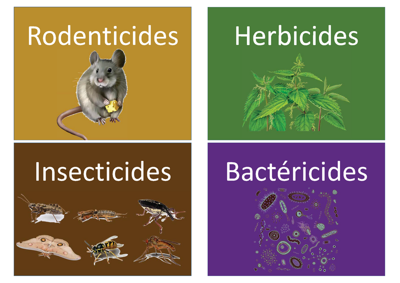 Qu est-ce que les Biocides Familles Biocides.png